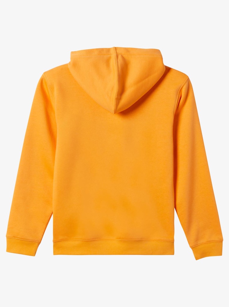 quiksilver-graphic-hoodie-youth-orange-blazing-orange-xl-16-6-67-5