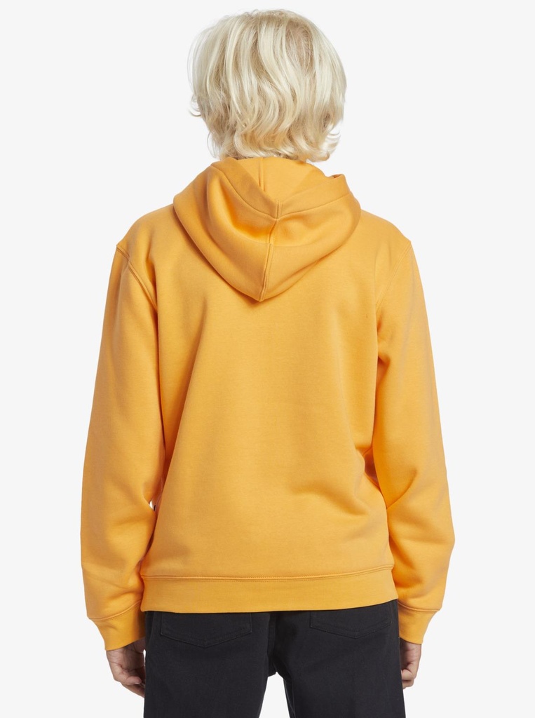 quiksilver-graphic-hoodie-youth-orange-blazing-orange-l-14-d-3