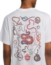element-sbxe-nest-ss-white-optic-white-l-3