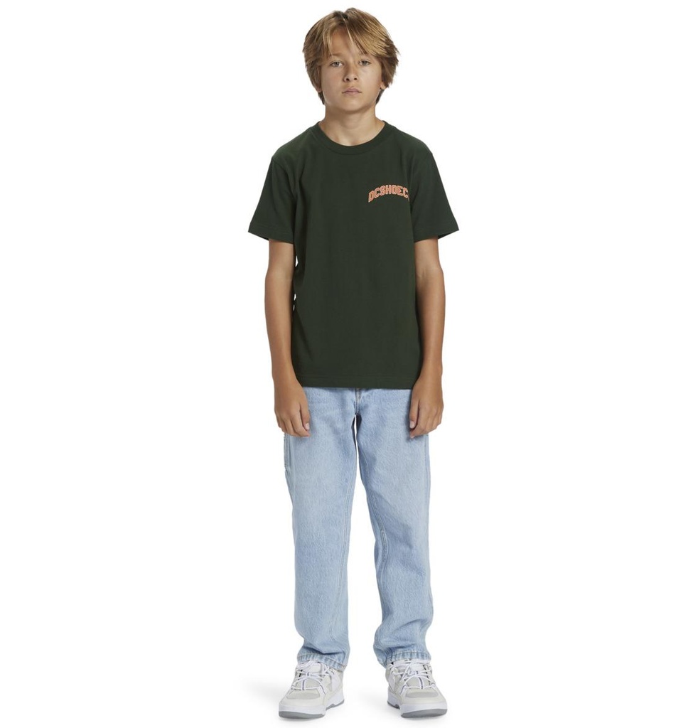 dc-shoes-varsity-ss-boy-green-mountain-view-14-l-6-2