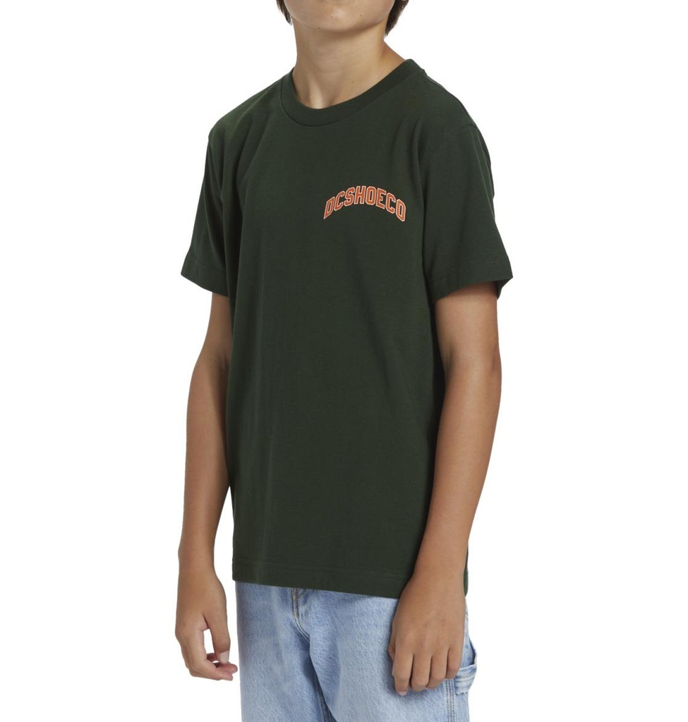 dc-shoes-varsity-ss-boy-green-mountain-view-14-l-6-4