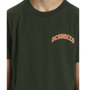 dc-shoes-varsity-ss-boy-green-mountain-view-14-l-6-5