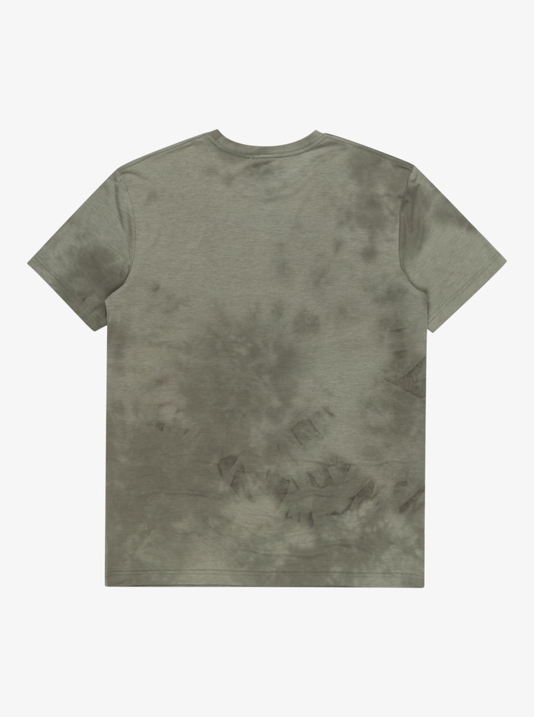 quiksilver-coastal-run-ss-green-coast-run-seas-spray-m-a-4