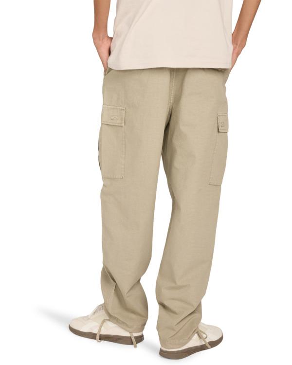 element-relax-cargo-beige-aluminum-28-3-6