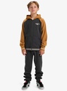 quiksilver-knowledge-area-fz-youth-brown-almond-l-14-4