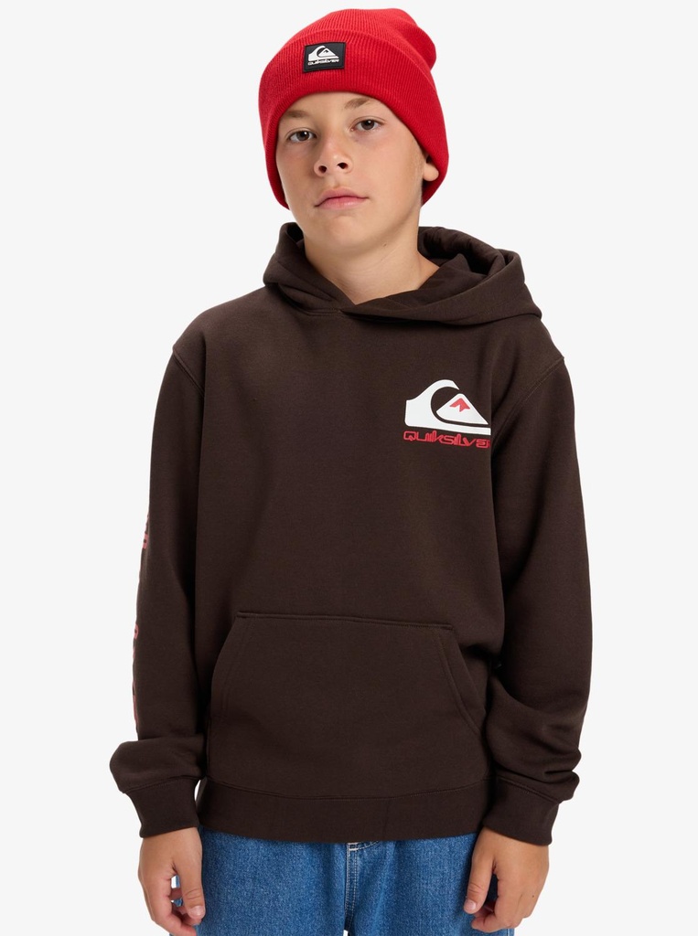 quiksilver-omni-logo-hoodie-youth-brown-chocolate-brown-xs-8-1-0
