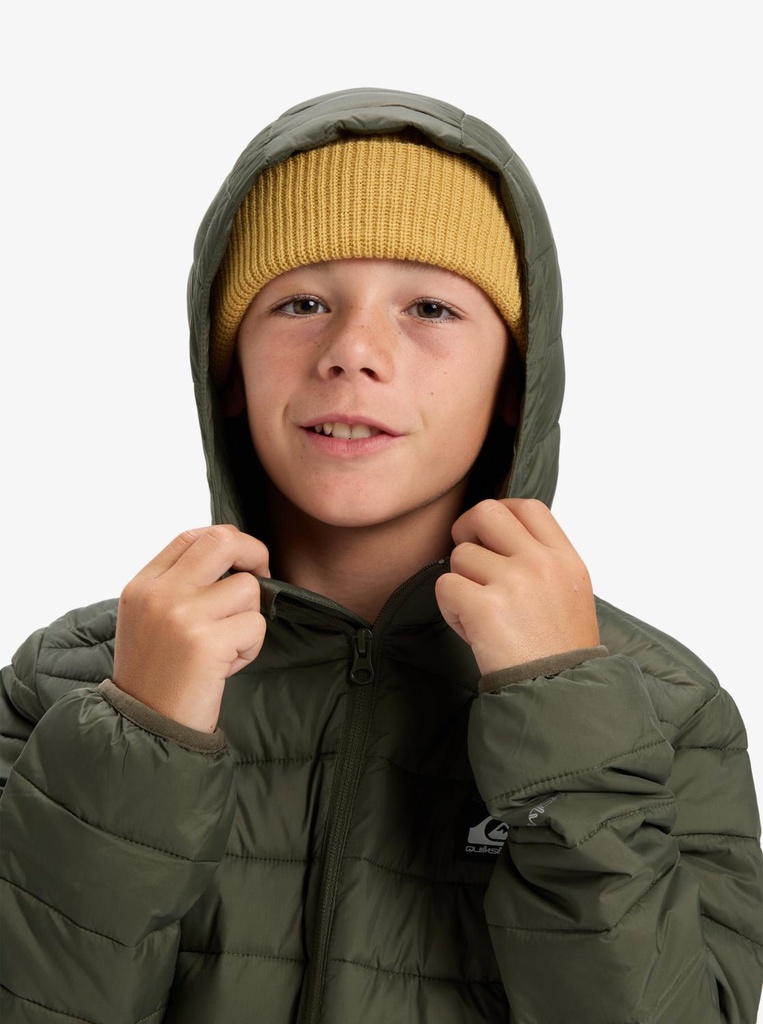 quiksilver-scaly-youth-brown-grape-leaf-l-14-1