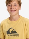quiksilver-ev-comp-logo-ss-youth-yellow-rattan-l-14-1
