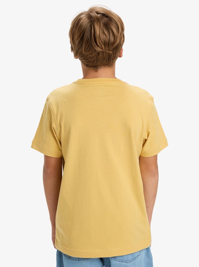 quiksilver-ev-comp-logo-ss-youth-yellow-rattan-l-14-2