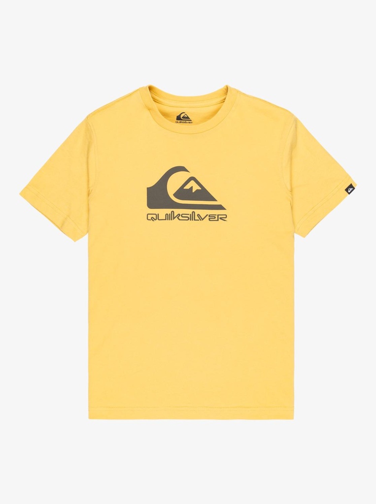 quiksilver-ev-comp-logo-ss-youth-yellow-rattan-l-14-3