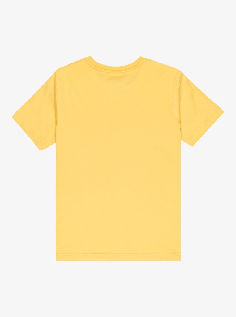 quiksilver-ev-comp-logo-ss-youth-yellow-rattan-l-14-4