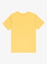 quiksilver-ev-comp-logo-ss-youth-yellow-rattan-l-14-4