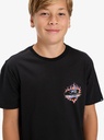 quiksilver-ev-in-flames-ss-youth-black-l-14-1