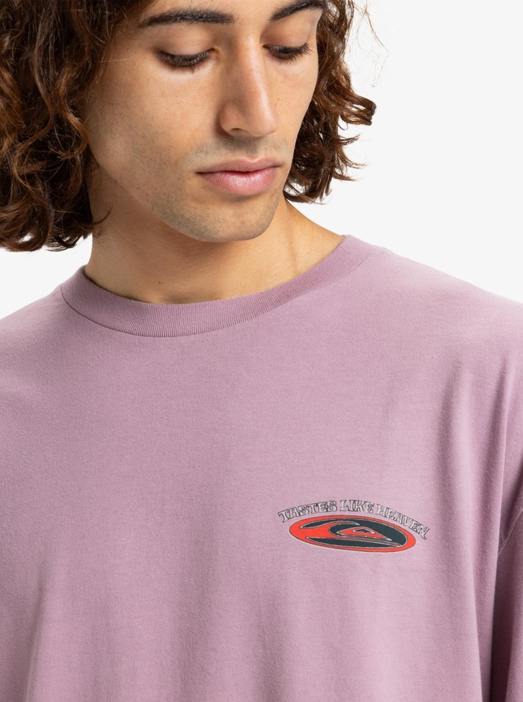 quiksilver-hw-hollow-coves-ls-purple-elderberry-xs-1