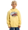 dc-shoes-tire-fire-ph-boy-yellow-dusky-citron-10-s-3