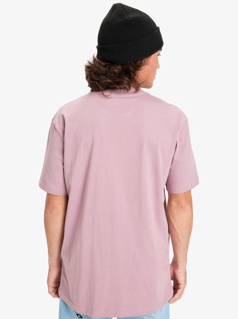 quiksilver-ev-mini-logo-ss-purple-elderberry-s-1