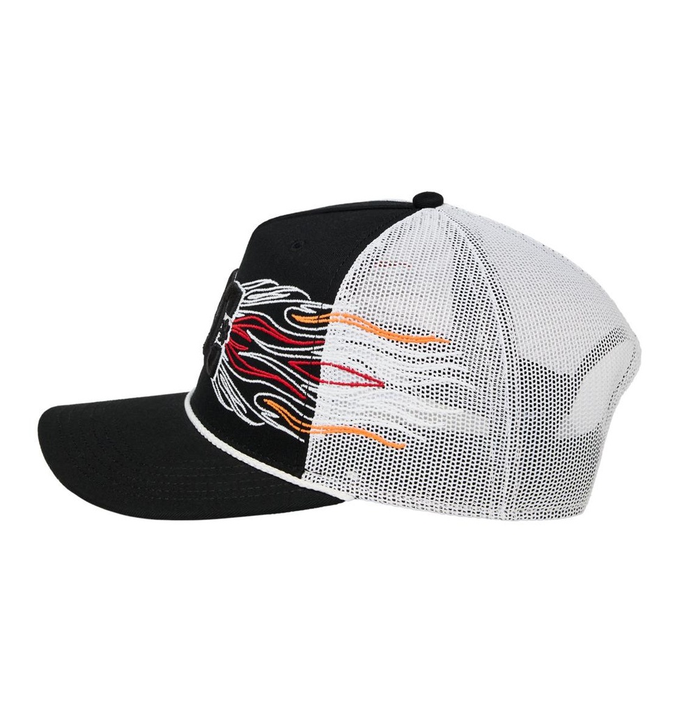 dc-shoes-dc-theo-cap-black-1sz-1