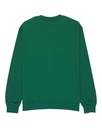 element-home-team-cr-green-dark-green-s-d-df-0