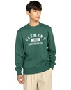 element-home-team-cr-green-dark-green-s-d-df-1