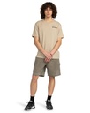 element-blazin-chest-ss-beige-aluminum-m-aa-5
