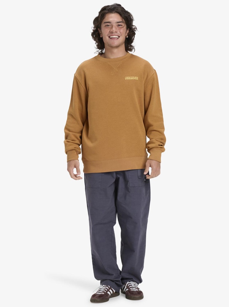 quiksilver-salt-water-graphic-crew-brown-almond-s-3