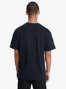 quiksilver-salt-water-tee-pack-miscellaneous-g-black-white-s-4-3