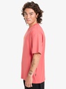 quiksilver-pto-welcome-all-ss-pink-mineral-red-m-0
