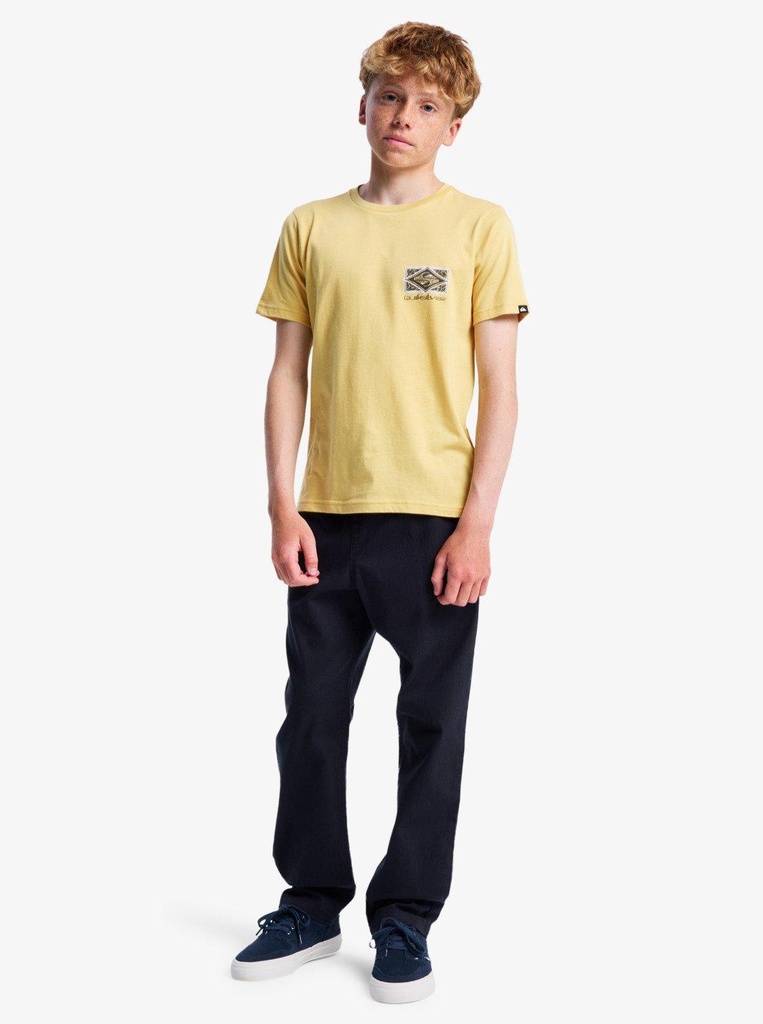 quiksilver-taxer-heavy-twill-pant-youth-black-l-14-3
