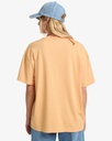 billabong-vibe-time-brown-clay-m-10-1
