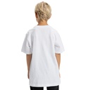 dc-shoes-slathletic-ss-boy-white-12-m-4