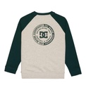 dc-shoes-dc-corpo-raglan-crew-boy-green-ponderosa-pine-14-l-0
