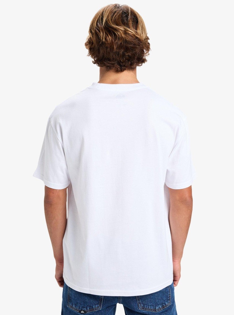 quiksilver-dna-clicker-tee-pack-miscellaneous-g-black-white-s-3