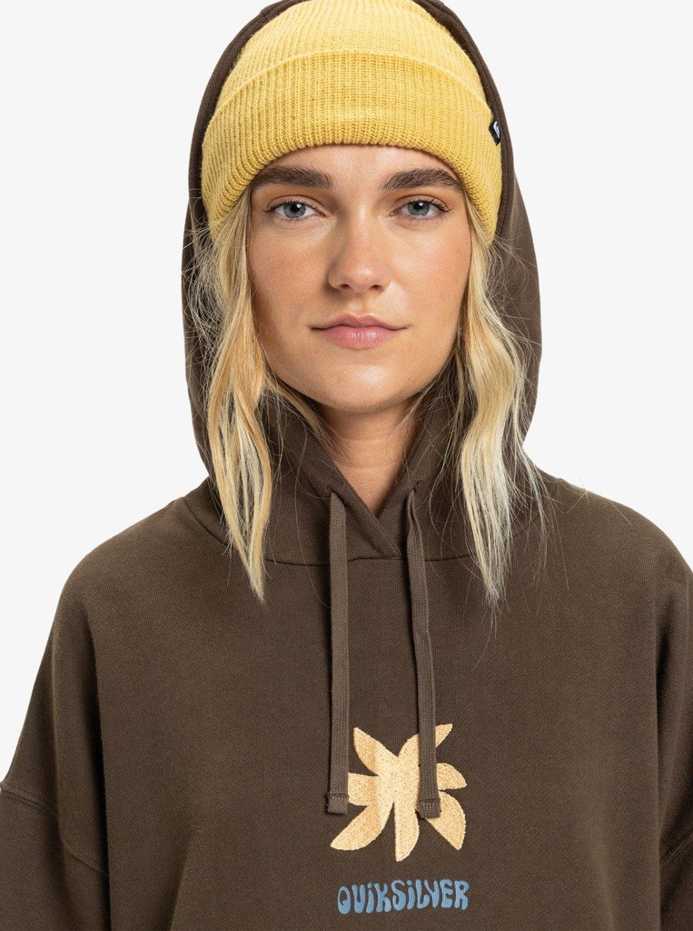 quiksilver-standard-hoodie-brown-chocolate-brown-s-1
