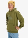 quiksilver-comp-logo-hoodie-youth-green-loden-green-xs-8-4