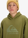quiksilver-comp-logo-hoodie-youth-green-loden-green-xs-8-5