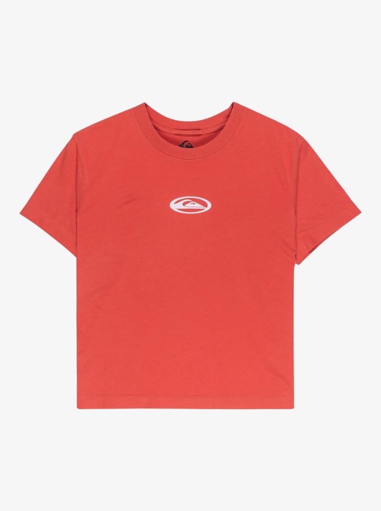 quiksilver-standard-ss-tee-pink-mineral-red-xs-5