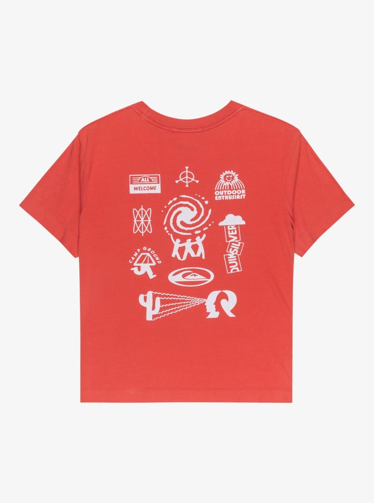 quiksilver-standard-ss-tee-pink-mineral-red-xs-6