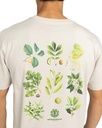 element-bigfoot-trees-ss-beige-oat-milk-xs-4
