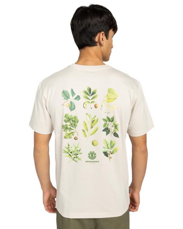 element-bigfoot-trees-ss-beige-oat-milk-xs-6