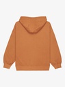 quiksilver-essential-hoodie-brown-almond-m-0