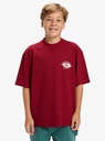 quiksilver-mercury-worldwide-ss-tee-yth-red-biking-red-m-12-0
