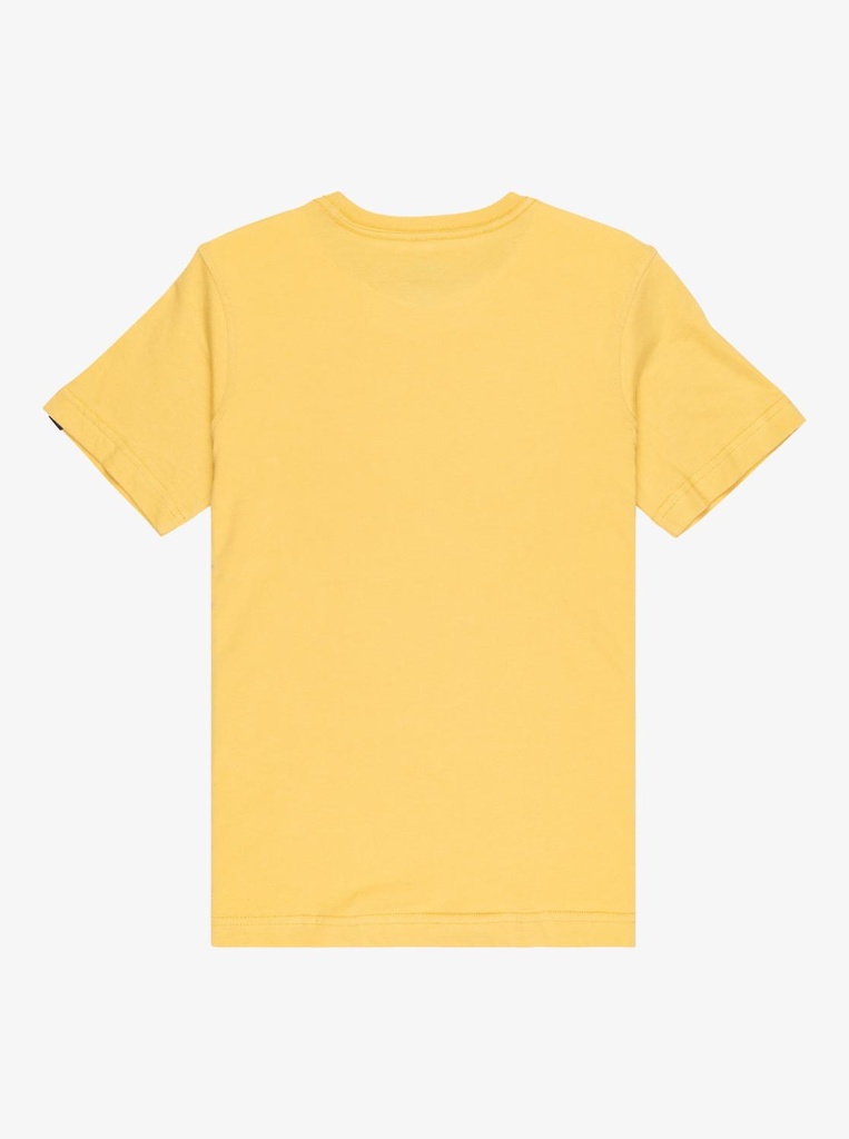 quiksilver-ev-stay-palm-ss-youth-yellow-rattan-l-14-0