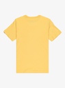 quiksilver-ev-stay-palm-ss-youth-yellow-rattan-l-14-0