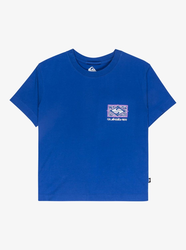 quiksilver-standard-ss-tee-purple-surf-the-web-s-5