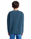 element-lowcase-pigment-cr-y-blue-magical-forest-l-14-4