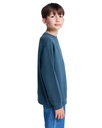 element-lowcase-pigment-cr-y-blue-magical-forest-l-14-5