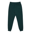 dc-shoes-hampden-pant-green-ponderosa-pine-s-0