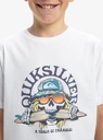 quiksilver-ev-skull-feast-ss-yth-white-xl-16-1