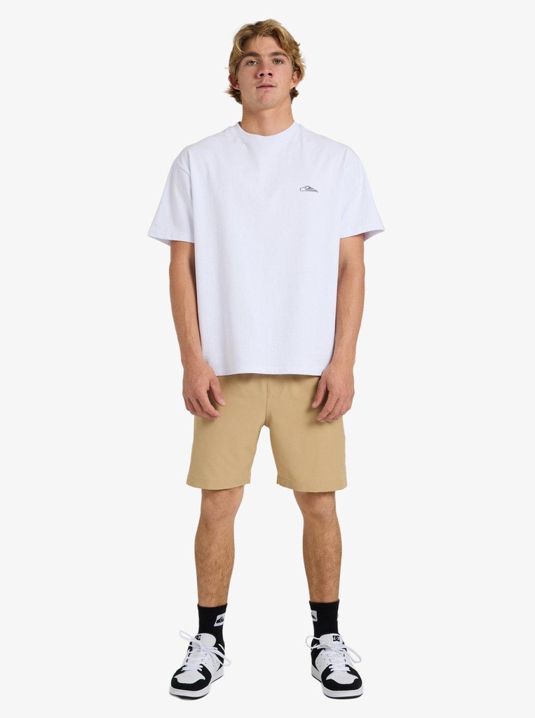 quiksilver-taxer-amphibian-18-brown-khaki-m-c-4