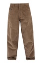 reell-baggy-lichen-square-cord-38-34-7